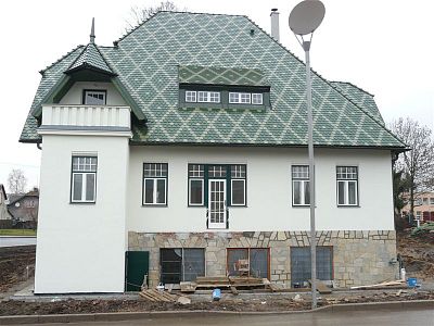 Wooden windows